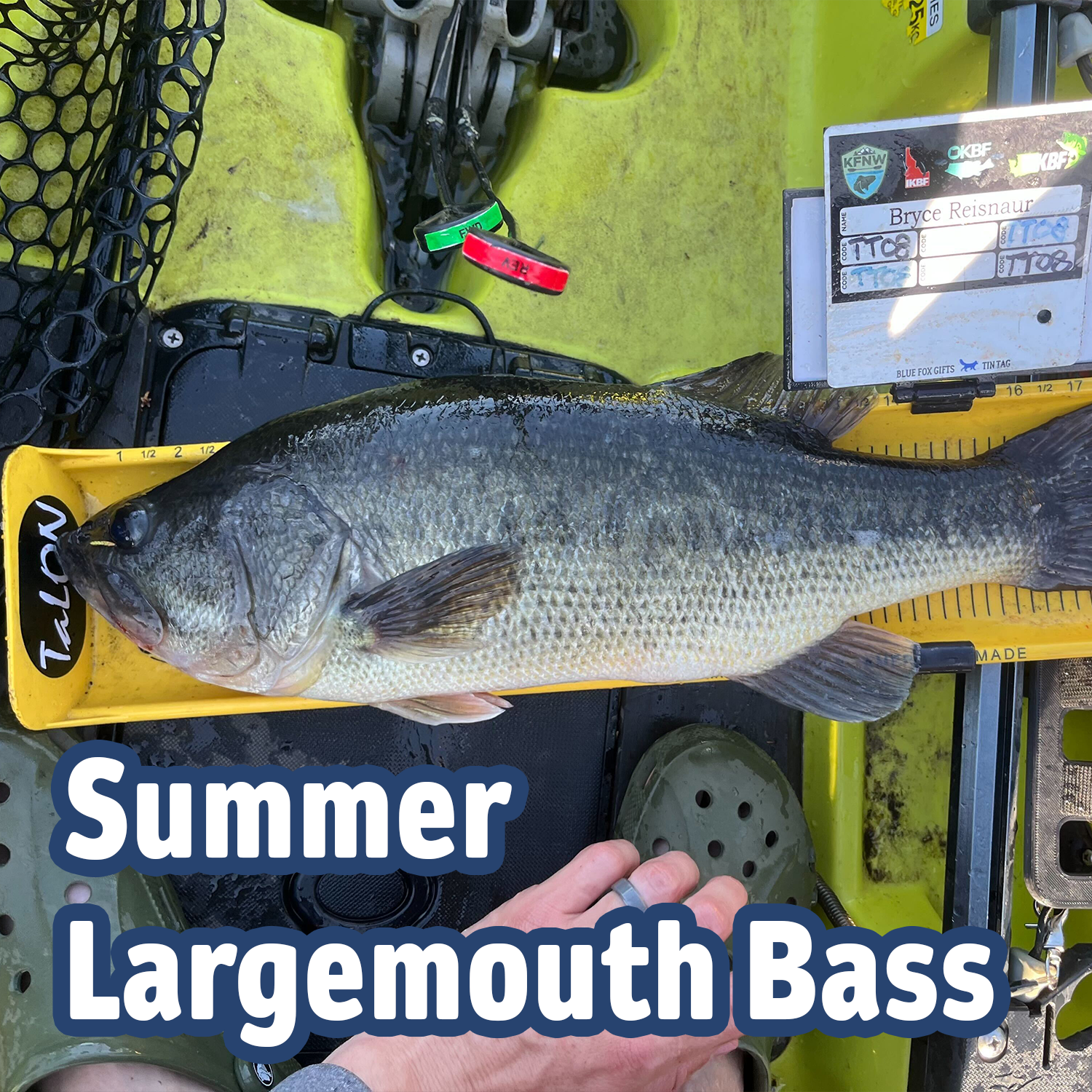 Summer Largemouth Fishing - by Bryce Reisnaur