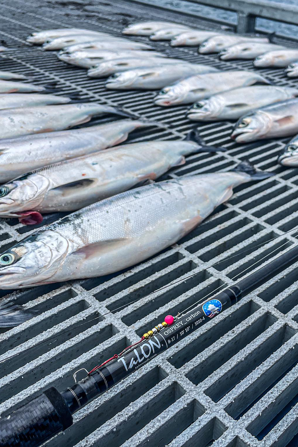 CAR10104 • 1010-4C | 10'10" | 8-17lbs