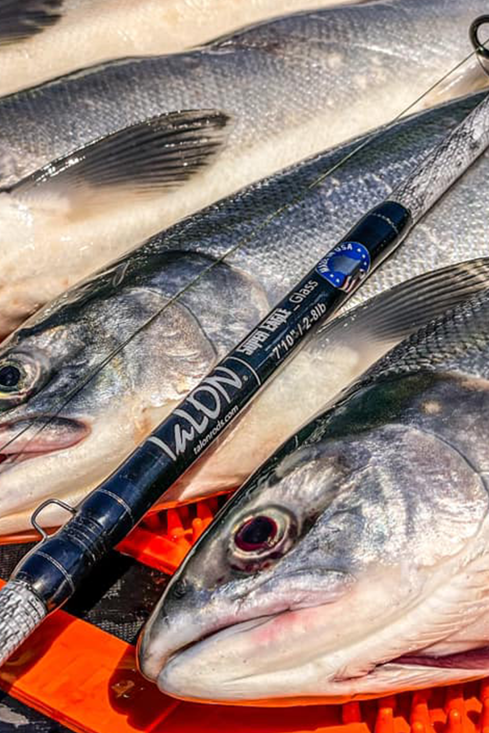 SEA710LC • SE 710-C | 7'10" | 2-8lbs (Fiberglass)