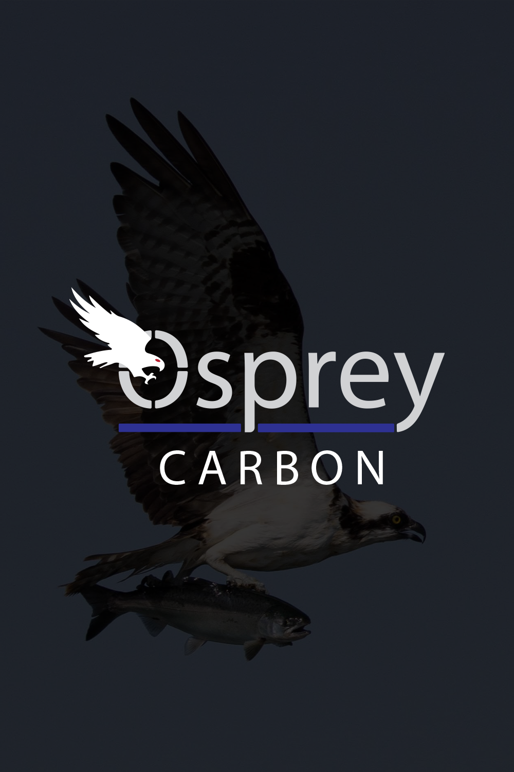 CAR10104 • 1010-4S | 10'10" | 8-17lbs