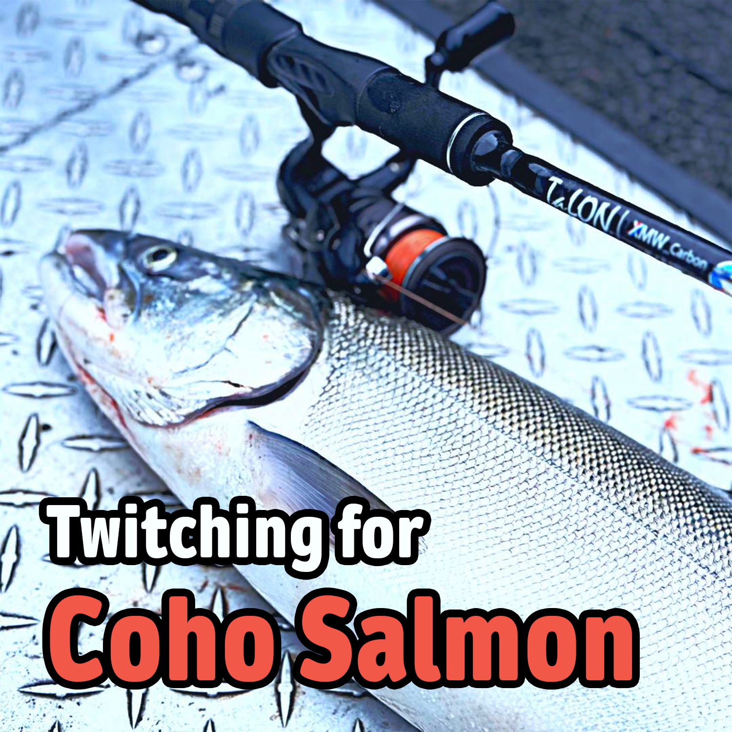 A Beginner's Guide to Twitching for Coho Salmon