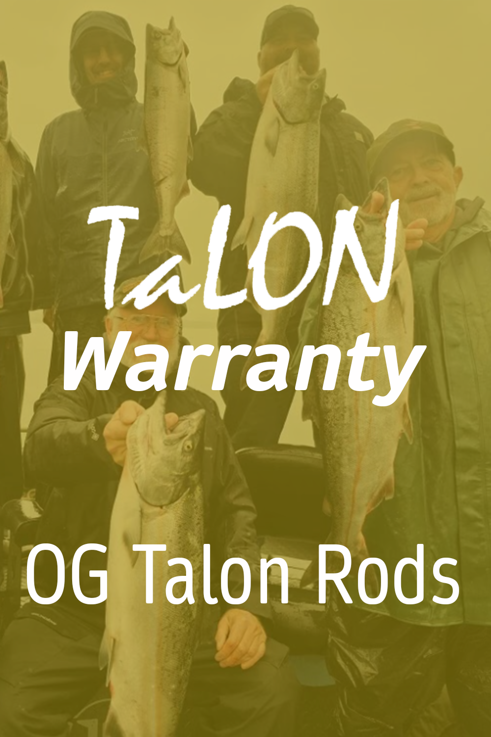 Replacement Warranty