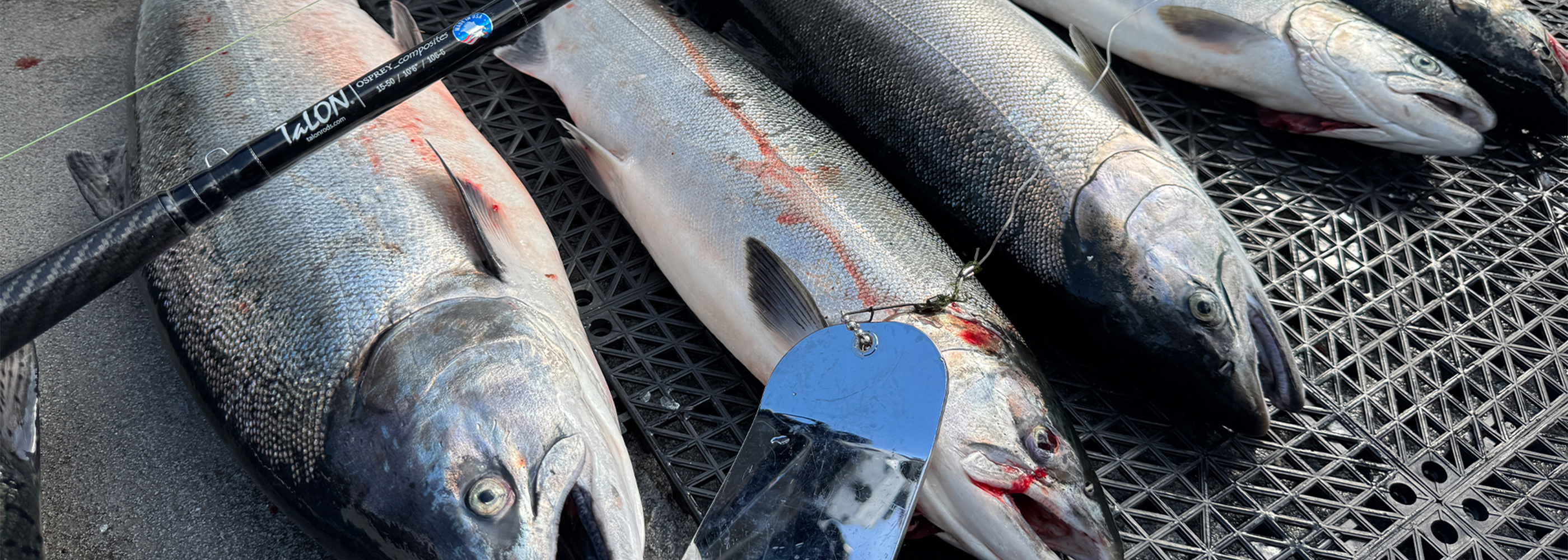 custom salmon fishing rods NFS these rods are designed to tackle the toughest of trolling challenges with ease Length, Power, Action! Salmon